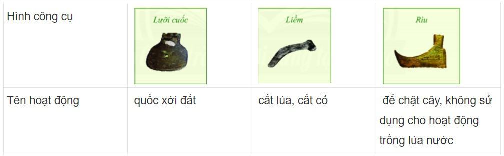 Lịch sử 6 Chân trời sáng tạo Bài 15: Đời sống của người Việt thời kì Văn Lang, Âu Lạc