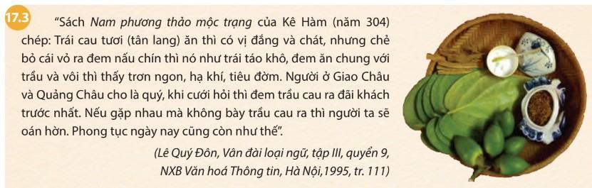Lịch sử 6 Chân trời sáng tạo Bài 17: Đấu tranh bảo tồn và phát triển văn hóa dân tộc thời kì Bắc thuộc