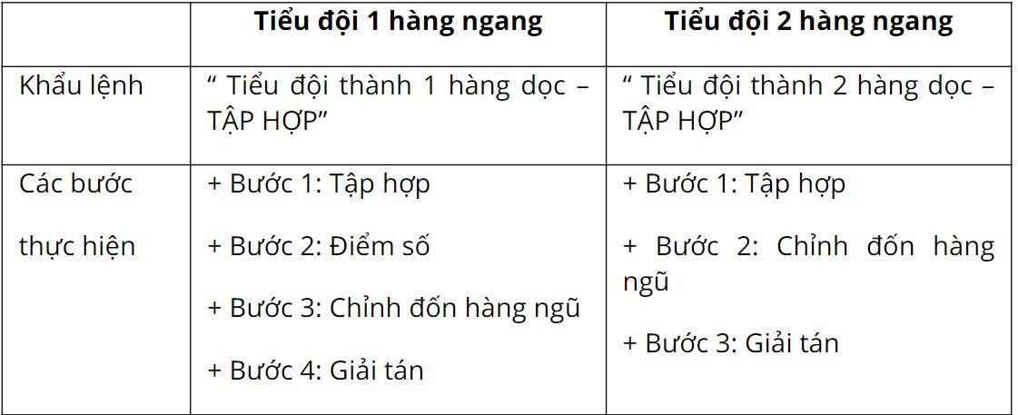 GDQP 10 Kết nối tri thức Bài 10: Đội ngũ tiểu đội