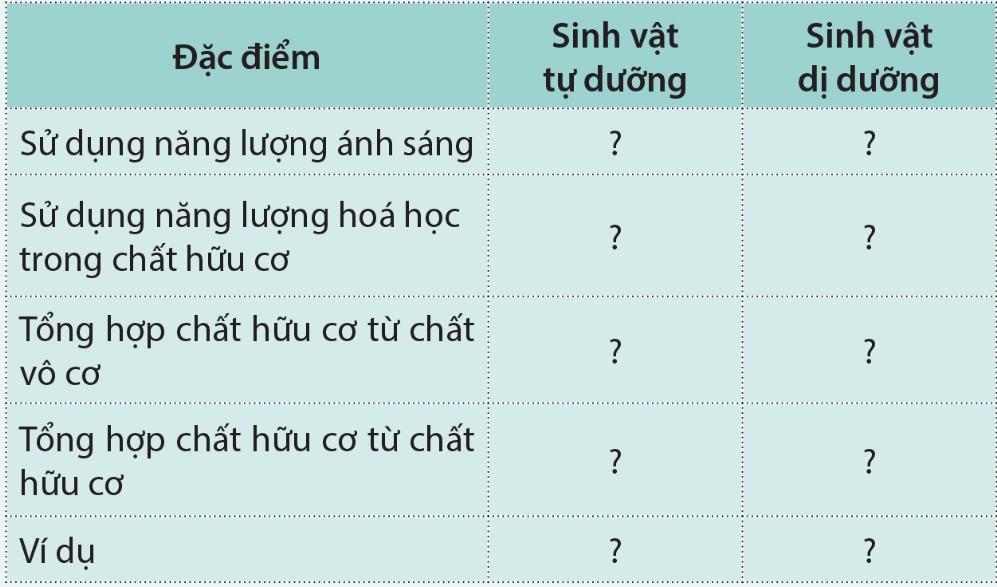 Sinh 11 Cánh diều Bài 1: Khái quát về trao đổi chất và chuyển hóa năng lượng