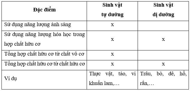 Sinh 11 Cánh diều Bài 1: Khái quát về trao đổi chất và chuyển hóa năng lượng