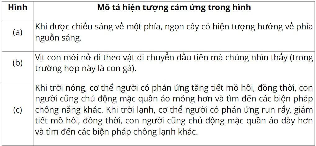 Sinh 11 Cánh diều Bài 11: Khái quát về cảm ứng ở sinh vật