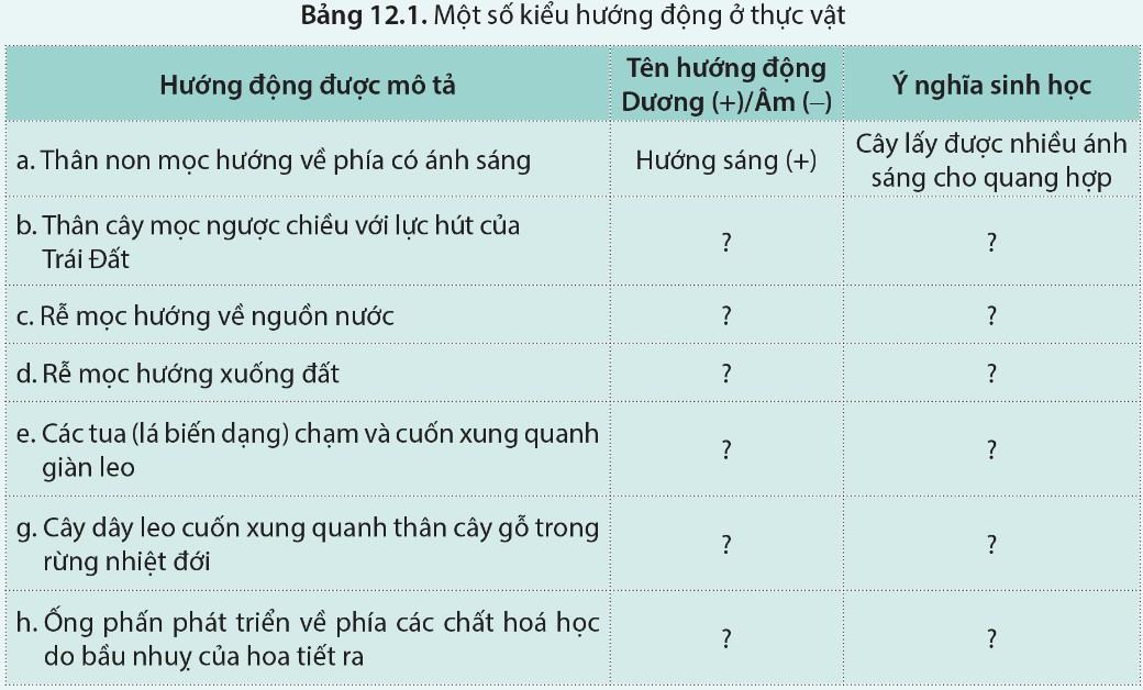 Sinh 11 Cánh diều Bài 12: Cảm ứng ở thực vật
