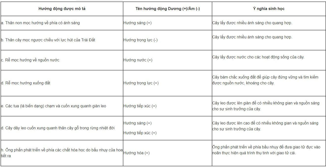 Sinh 11 Cánh diều Bài 12: Cảm ứng ở thực vật