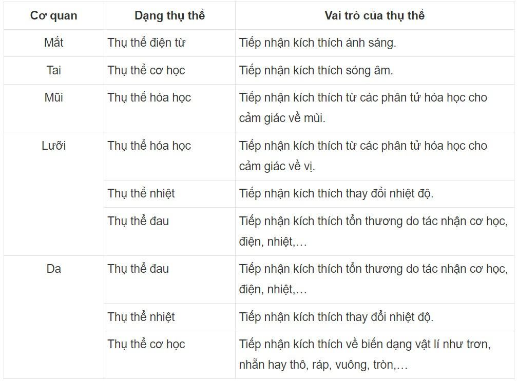 Sinh 11 Cánh diều Bài 13: Cảm ứng ở động vật