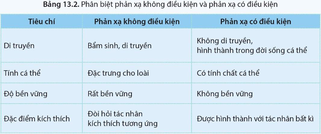 Sinh 11 Cánh diều Bài 13: Cảm ứng ở động vật