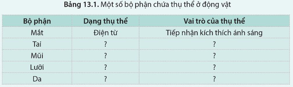 Sinh 11 Cánh diều Bài 13: Cảm ứng ở động vật