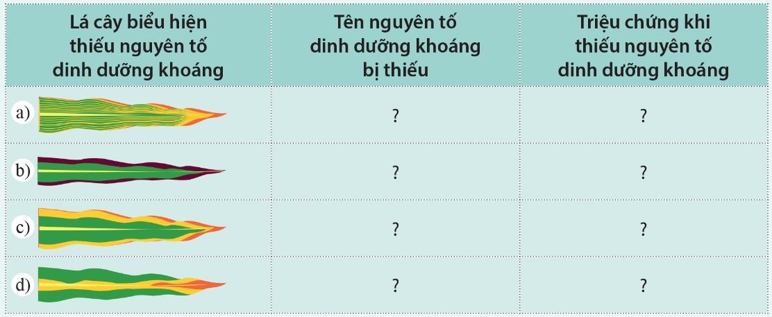 Sinh 11 Cánh diều Bài 2: Trao đổi nước và khoáng ở thực vật