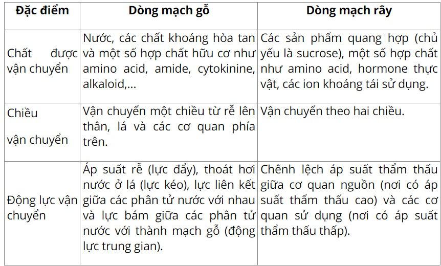 Sinh 11 Cánh diều Bài 2: Trao đổi nước và khoáng ở thực vật