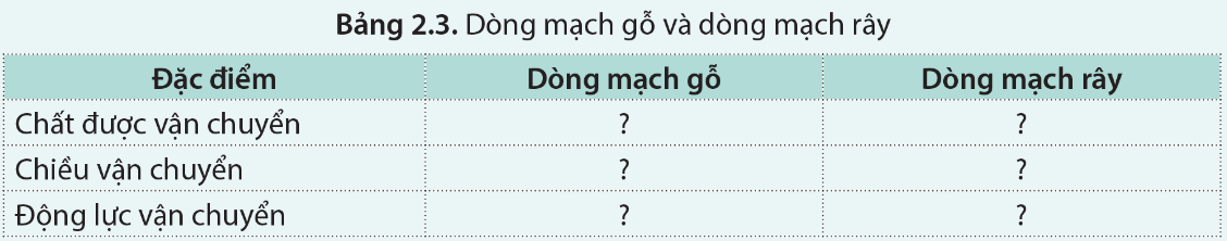 Sinh 11 Cánh diều Bài 2: Trao đổi nước và khoáng ở thực vật