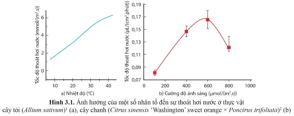 Sinh 11 Cánh diều Bài 3: Nhân tố ảnh hưởng đến trao đổi nước và khoáng ở thực vật