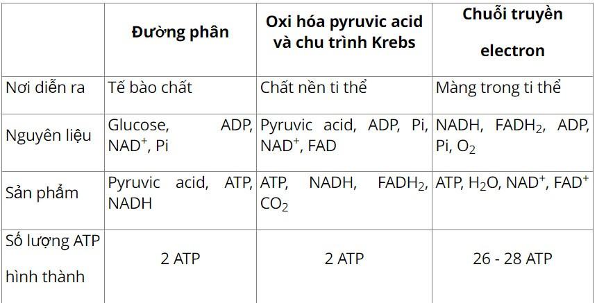 Sinh 11 Cánh diều Bài 5: Hô hấp ở thực vật