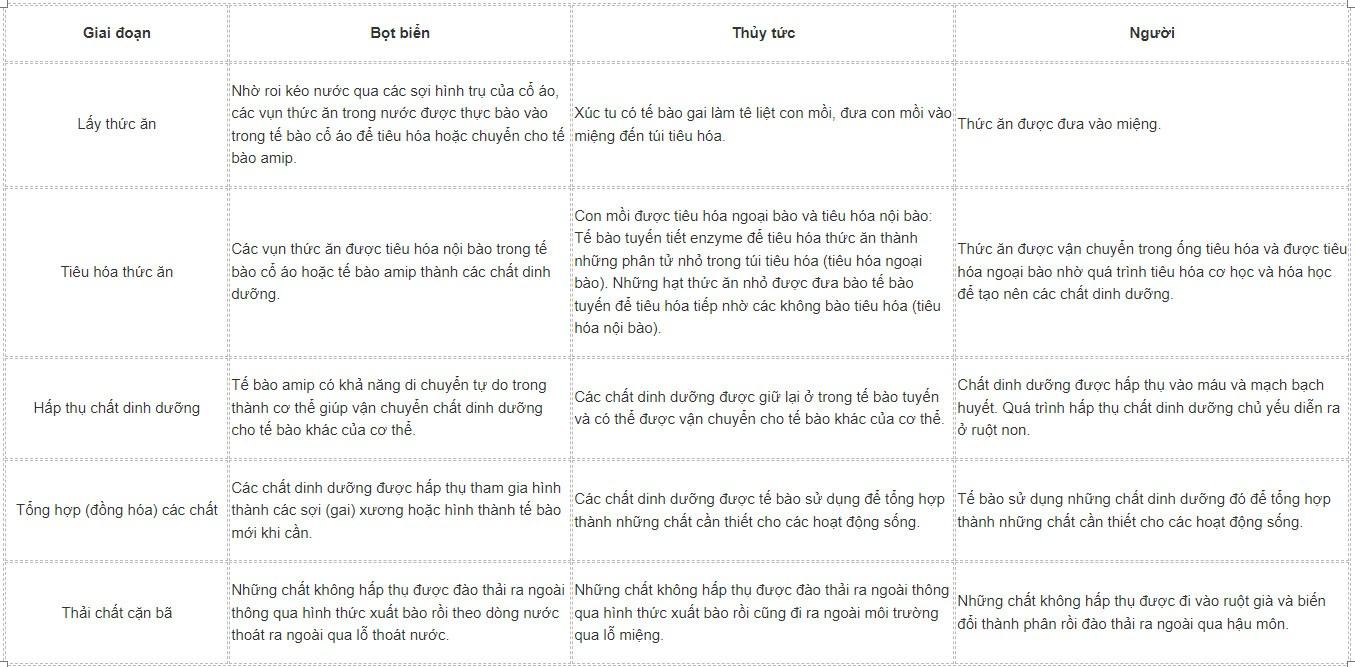 Sinh 11 Cánh diều Bài 6: Dinh dưỡng và tiêu hóa ở động vật