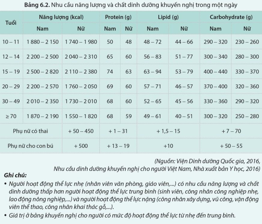 Sinh 11 Cánh diều Bài 6: Dinh dưỡng và tiêu hóa ở động vật