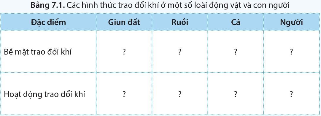 Sinh 11 Cánh diều Bài 7: Hô hấp ở động vật