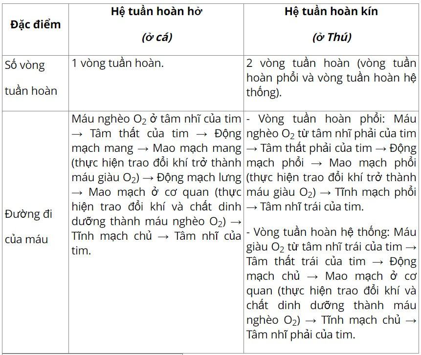 Sinh 11 Cánh diều Bài 8: Hệ tuần hoàn ở động vật