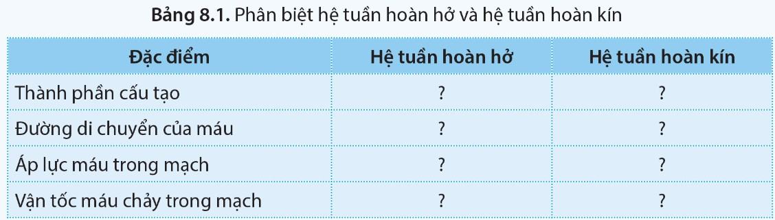 Sinh 11 Cánh diều Bài 8: Hệ tuần hoàn ở động vật