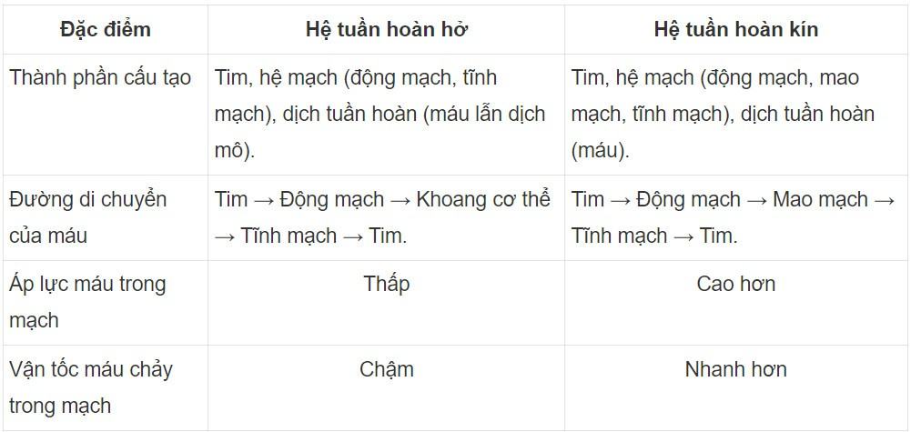 Sinh 11 Cánh diều Bài 8: Hệ tuần hoàn ở động vật