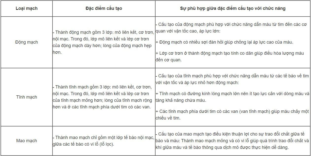 Sinh 11 Cánh diều Bài 8: Hệ tuần hoàn ở động vật