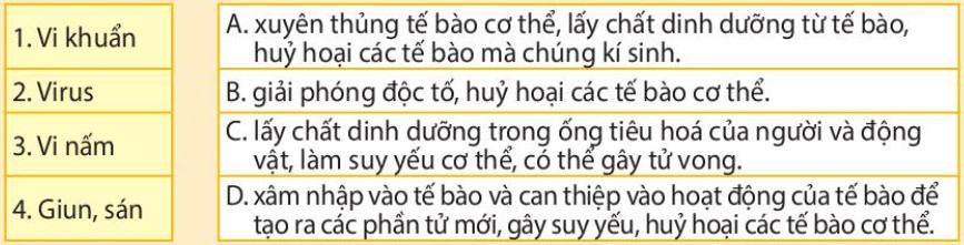 Sinh 11 Kết nối tri thức Bài 12: Miễn dịch ở người và động vật