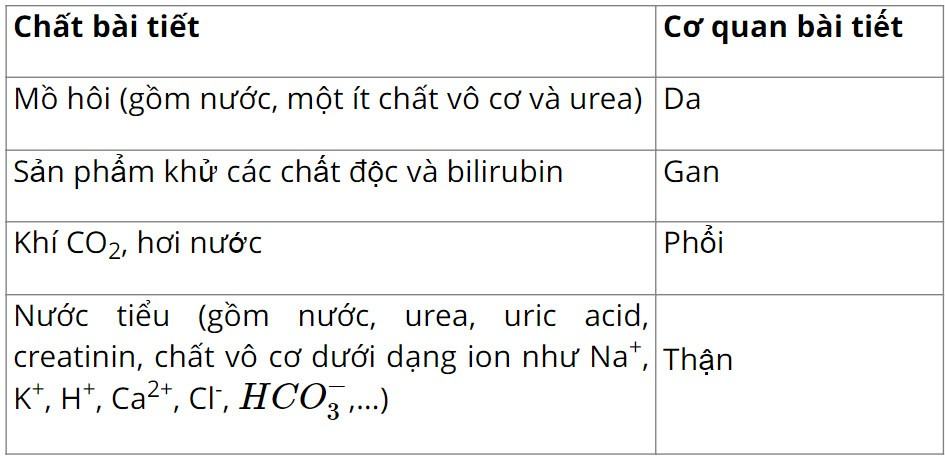 Sinh 11 Kết nối tri thức Bài 13: Bài tiết và cân bằng nội môi