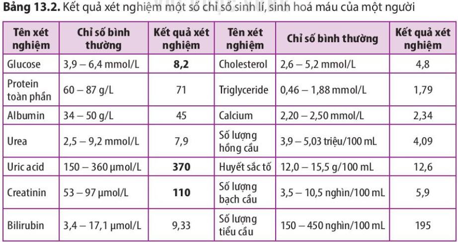 Sinh 11 Kết nối tri thức Bài 13: Bài tiết và cân bằng nội môi
