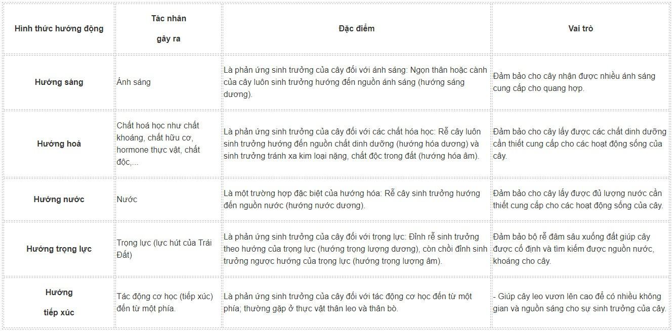 Sinh 11 Kết nối tri thức Bài 15: Cảm ứng ở thực vật