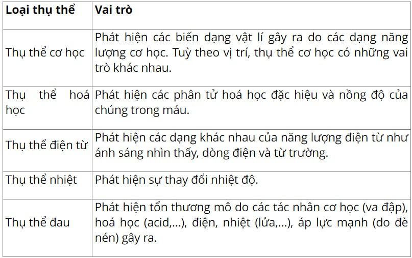 Sinh 11 Kết nối tri thức Bài 17: Cảm ứng ở động vật