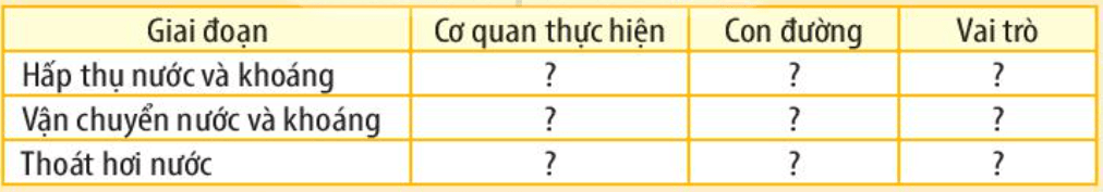Sinh 11 Kết nối tri thức Bài 2: Trao đổi nước và khoáng ở thực vật