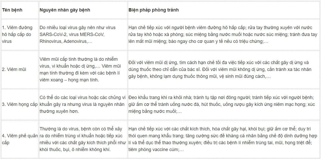 Sinh 11 Kết nối tri thức Bài 9: Hô hấp ở động vật