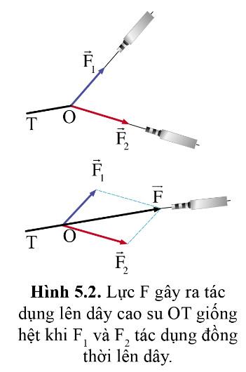Giải Vật Lí 10 Cánh diều Bài 5: Tổng hợp và phân tích lực