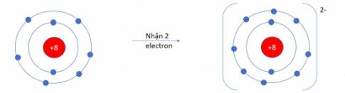 Hóa 10 Cánh diều Bài 9: Quy tắc octet