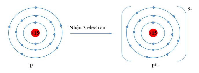 Hóa 10 Cánh diều Bài 9: Quy tắc octet