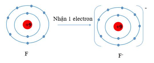 Hóa 10 Cánh diều Bài 9: Quy tắc octet