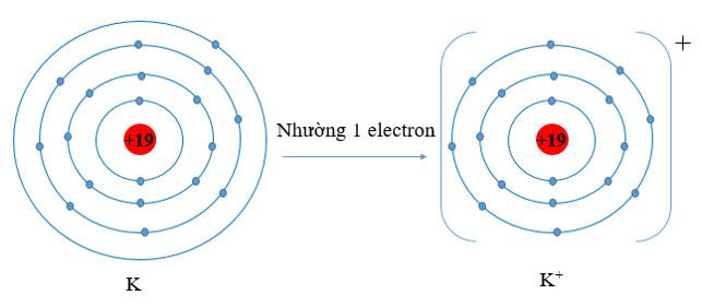 Hóa 10 Cánh diều Bài 9: Quy tắc octet