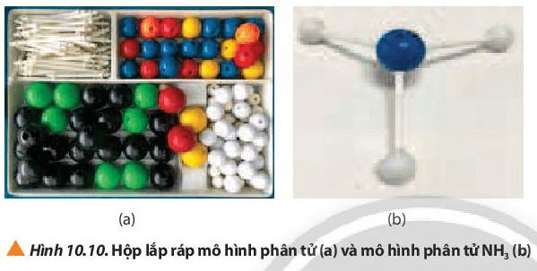 Hóa 10 Chân trời sáng tạo Bài 10: Liên kết cộng hóa trị