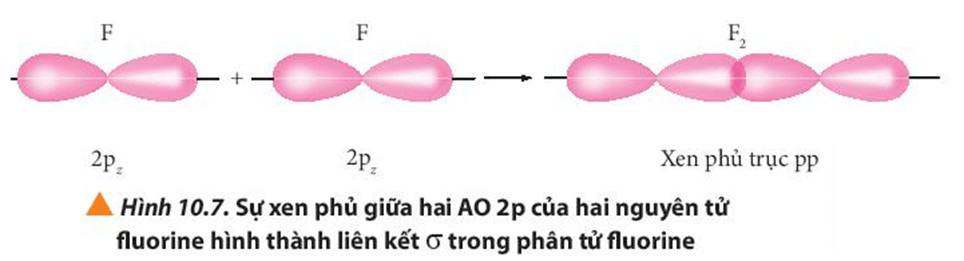 Hóa 10 Chân trời sáng tạo Bài 10: Liên kết cộng hóa trị