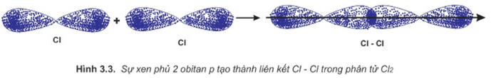 Hóa 10 Chân trời sáng tạo Bài 10: Liên kết cộng hóa trị
