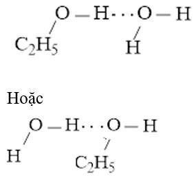 Hóa 10 Chân trời sáng tạo Bài 11: Liên kết hydrogen và tương tác van der waals