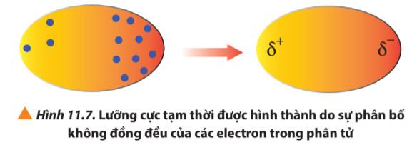 Hóa 10 Chân trời sáng tạo Bài 11: Liên kết hydrogen và tương tác van der waals