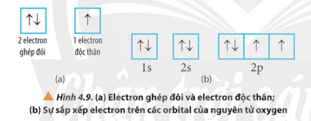 Hóa 10 Chân trời sáng tạo Bài 4: Cấu trúc lớp vỏ electron của nguyên tử