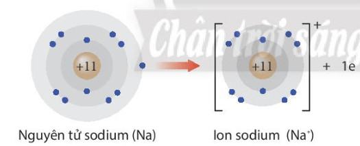 Hóa 10 Chân trời sáng tạo Bài 6: Xu hướng biến đổi một số tính chất của nguyên tử các nguyên tố, thành phần và một số tính chất của hợp chất trong một chu kì và nhóm