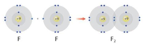 Hóa 10 Chân trời sáng tạo Bài 8: Quy tắc octet