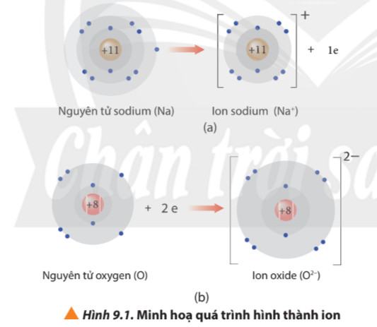 Hóa 10 Chân trời sáng tạo Bài 9: Liên kết ion