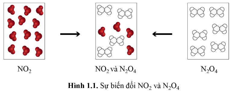 Hóa 11 Cánh diều Bài 1: Mở đầu về cân bằng hoá học