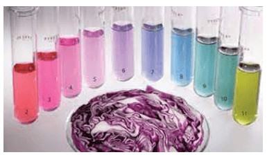 Hóa 11 Cánh diều Bài 3: pH của dung dịch. Chuẩn độ acid – base