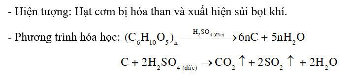 Hóa 11 Cánh diều Bài 7: Sulfuric acid và muối sulfate