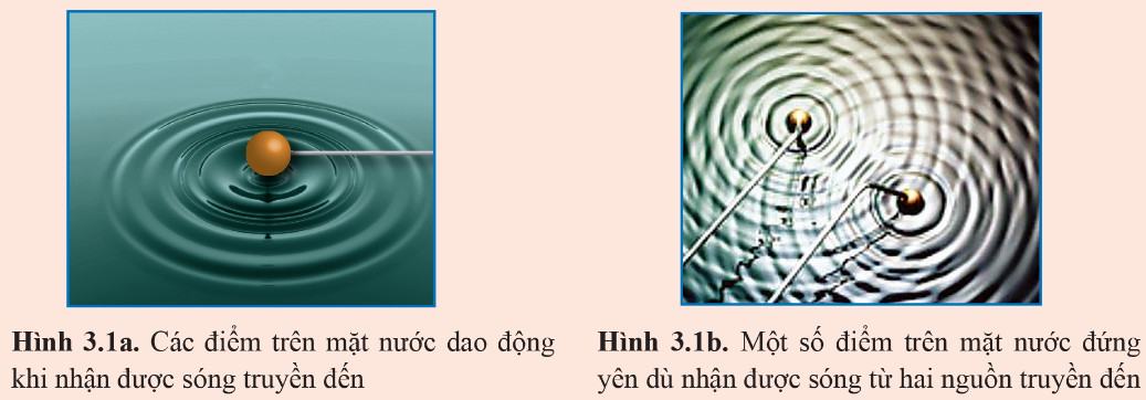 Lí 11 Cánh diều Bài 3: Giao thoa sóng