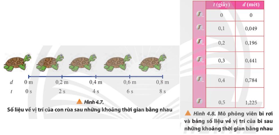 Vật Lí 10 Chân trời sáng tạo Bài 4: Chuyển động thẳng