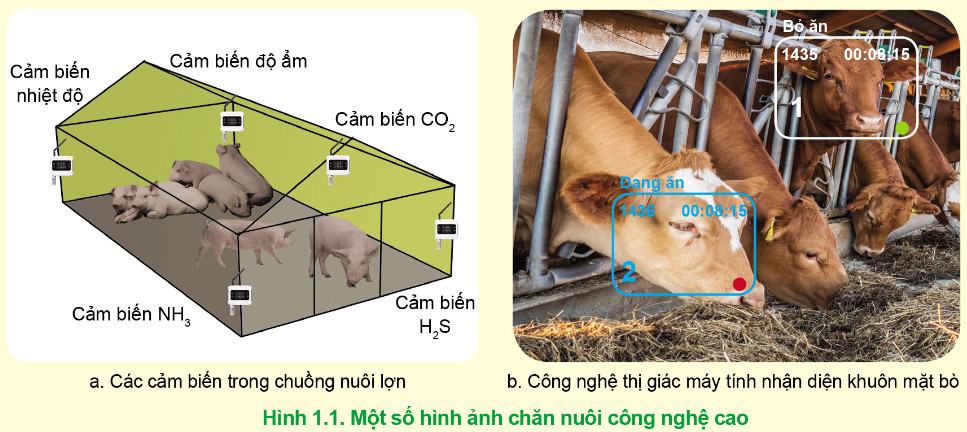 Công nghệ Chăn nuôi 11 Cánh Diều Bài 1: Chăn nuôi trong bối cảnh cuộc cách mạng công nghiệp 4.0